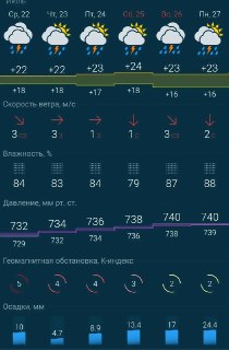 Дожди и грозы ожидают Кузбасс в ближайшие семь дней