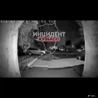Бездомные собаки в Междуреченске повредили автомобиль