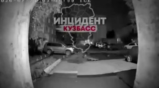 Бездомные собаки в Междуреченске повредили автомобиль владельца