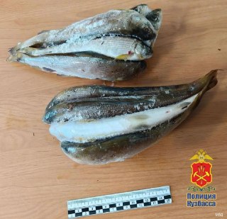 Два браконьера попались на незаконной рыбалке в заказнике